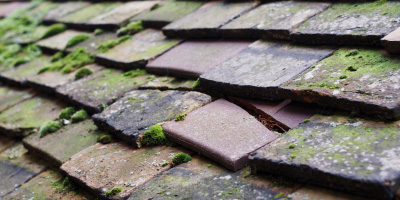 Hermitage roof repair costs